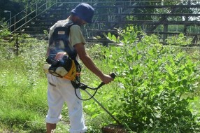 Brza reakcija nadležnih - sređuju se sportski tereni na Paliću