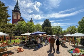 Od muškatli do maslina: Otvoren sajam cveća "Garden flora"
