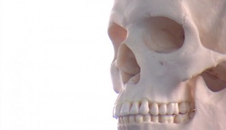 Donacija skeleta Medicinskoj školi