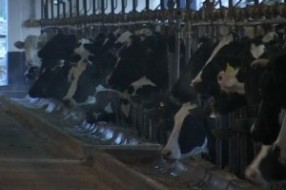 Kvalitetom i kvantitetom do veće konkurentnosti