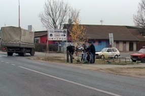 20 sadnica u Malom Bajmoku