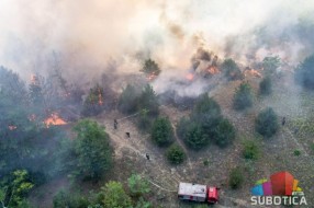 U požaru u Radanovačkoj šumi izgorelo 50 hektara šume i rastinja