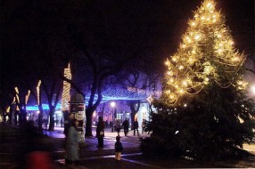 "Ulepšavaju" se Subotica i Palić