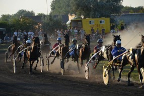 Održane konjičke trke "Dužijanca 2014"