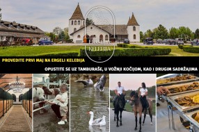 Konji, tamburaši i vojvođanski ukusi: Prvi maj na Ergeli Kelebija