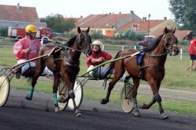 Prvi kasački dan na hipodromu