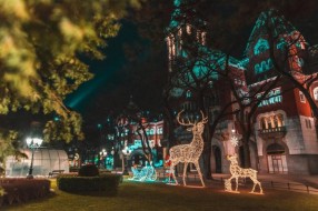 Subotica zablistala novogodišnjim sjajem