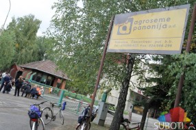 Bez rešenja za radnike "Agrosemena", u petak sastanak sa Vasinom