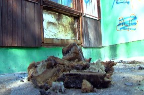 Nepoznate osobe pokušale da zapale vrtić u Keru