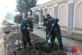 Počela revitalizacija Parka prirode Palić
