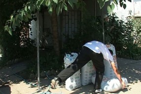450kg hrane za pse u azilu "Alex"