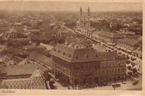 Foto konkurs "Kulturizam"
