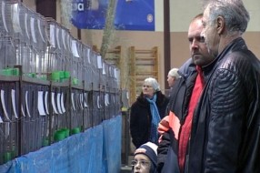 Otvorena međunarodna izložba sitnih životinja