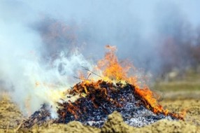 Spaljivanje organskog otpada višegodišnji problem stanovnika Makove sedmice