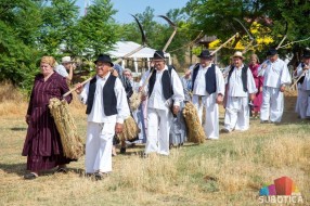 Bunjevački ris - deo proslave hleba od novog žita, srž bunjevačke tradicije