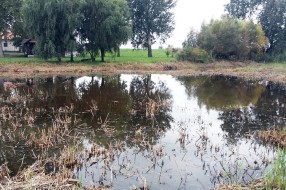 ZEP: Privodi se kraju prva faza projekta "Za lepši bunarić, vodice, szentku"