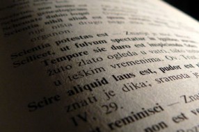 Roman na bunjevačkom jeziku