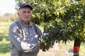 Crna zova i mušmule - nepravedno zaboravljene kulture opstaju na imanju porodice Šerfeze