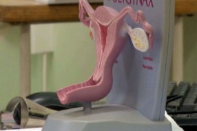 Evropska nedelja prevencije raka grlića materice