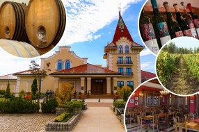 Vinska kultura u srcu Palića