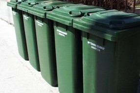 Akcija prolećnog čišćenja u Šupljaku i Kelebiji