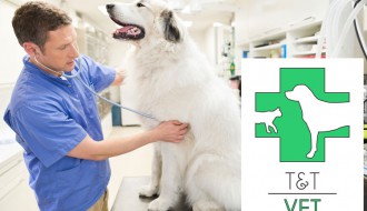 Preventivni pregledi kućnih ljubimaca uz besplatan tretman protiv parazita