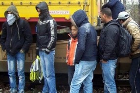 Sprečeno krijumčarenje 21 migranta kod Bačkih Vinograda