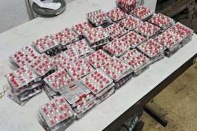 Carinici na Horgošu zaplenili 4.500 psihoaktivnih kapsula