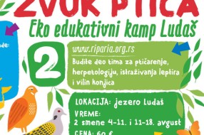 Zvuk ptica, snimanje filma i drugi zanimljivi dnevni programi za posetioce 11. Summer3p festivala