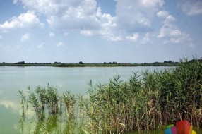 Volonteri uređuju Ludaško jezero