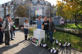 Subotičani u Obrenovcu delili sadnice sa porukama podrške građanima tog grada
