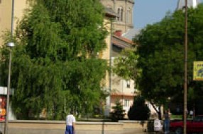 Novi trg u Čantaviru