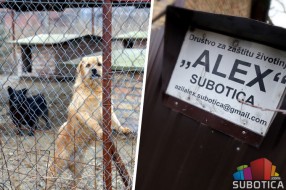 Optužbe na račun azila "Aleks" (ne)osnovane
