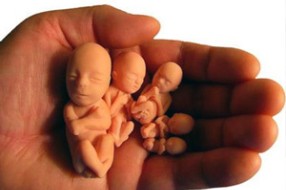 U Subotici oko 500 abortusa godišnje