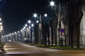 Ipak sledi rušenje kuće na adresi Braće Radić 102