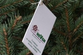 Jelka i za OŠ Sveti Sava