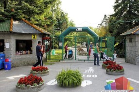 160.000 poseta Zoo vrtu na Paliću tokom 2012. godine