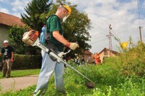 Počelo sistematsko košenje ambrozije na oko 350.000 kvadrata
