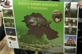 Pojednostaviti nastavu