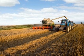 Iz Pokrajinskog fonda 500 miliona za razvoj poljoprivrede