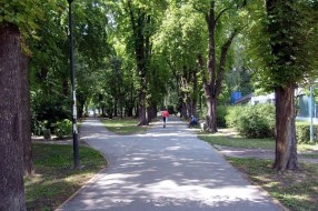 Počelo uređenje zelenih površina