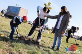CEKOR u subotu organizuje potpisivanje peticije za pošumljavanje Vojvodine