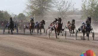 Konjički sport: U subotu 2. trkački dan na Gradskom hipodromu, Jokić će bodriti svoja grla