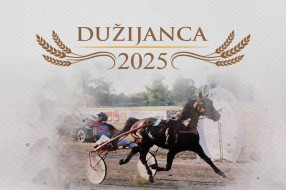 Konjički sport: Subotički hipodrom domaćin prestižne "Dužijance"