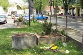 Uništene sadnice u tek uređenim žardinjerama