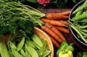 Organska poljoprivreda