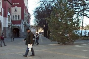 Kupujte jelke sa busenom