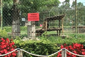 Bezbednost u Zoološkom vrtu na prvom mestu
