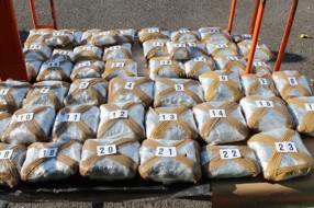 Zaplenjeno 25 kilograma marihuane na Horgošu