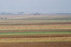 Mraz ne ostavlja posledice